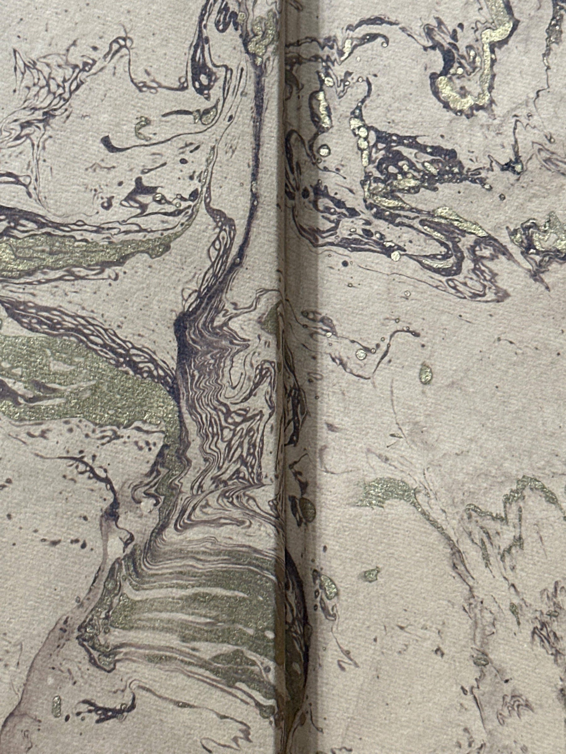 Young's Literal Translation Containing The Old And New Test [Leather Bound]