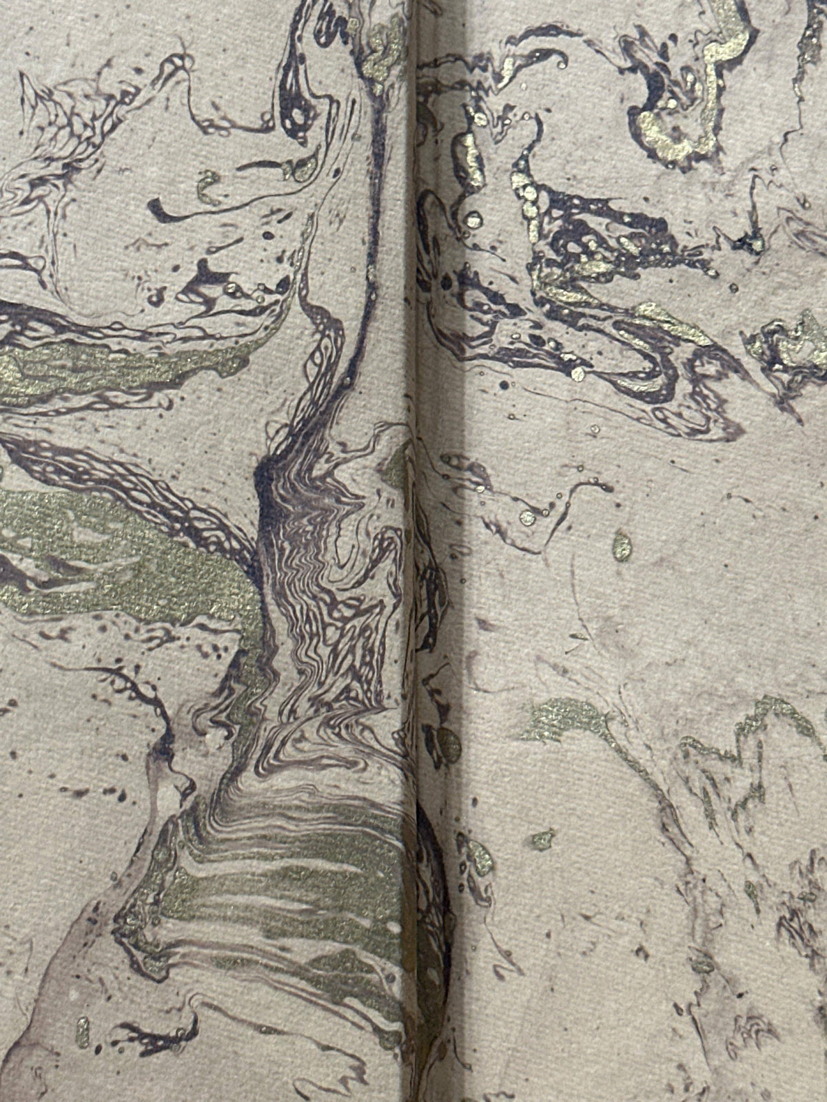 Young's Literal Translation 1862 Containing The Old And New Test [Leather Bound]