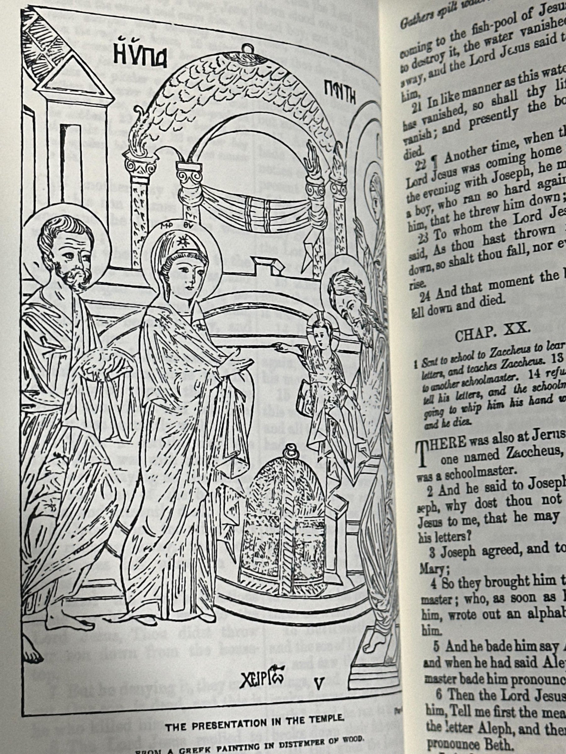 The Lost Books of the Bible [Leather Bound]