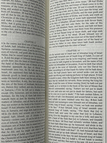 Young's Literal Translation Containing The Old And New Test [Leather Bound]