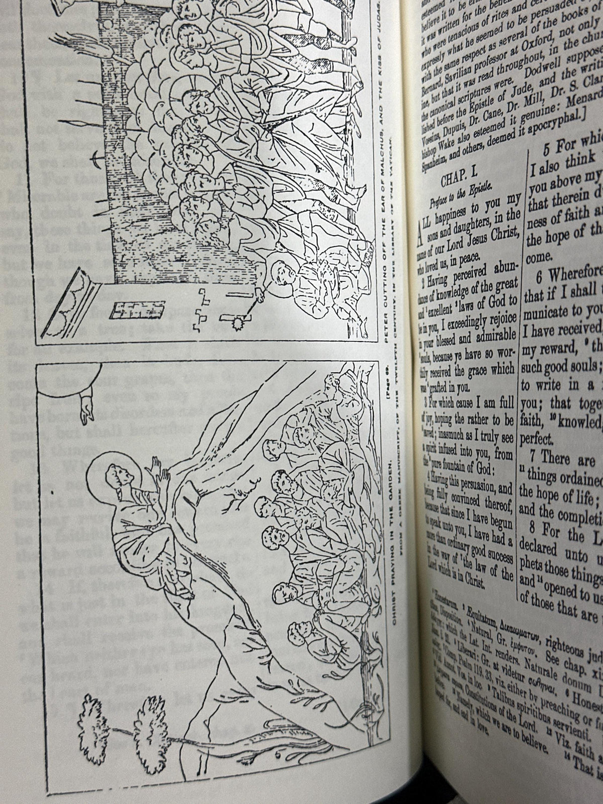 The Lost Books of the Bible [Leather Bound]