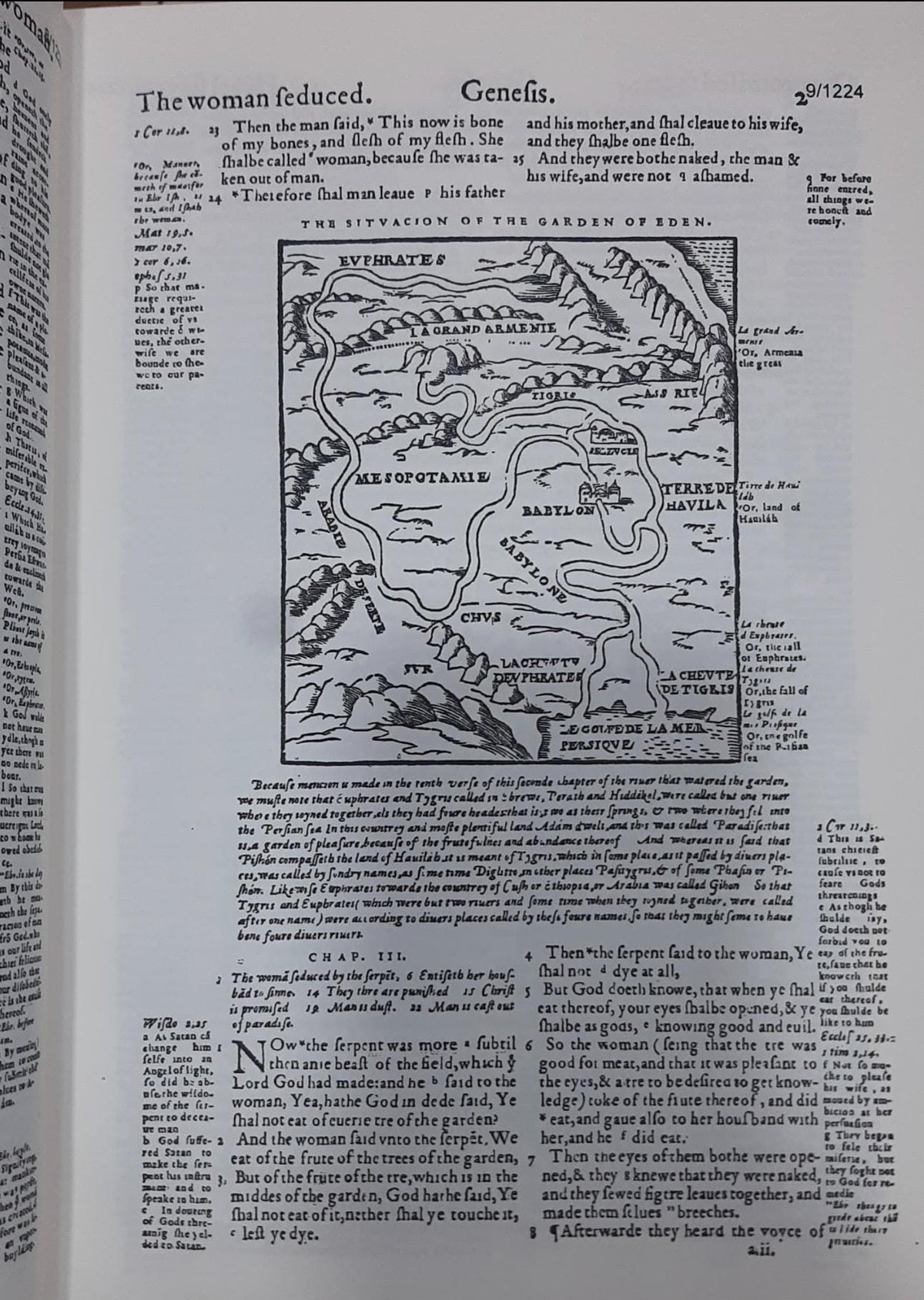 The Geneva Bible 1560 [Leather Bound]