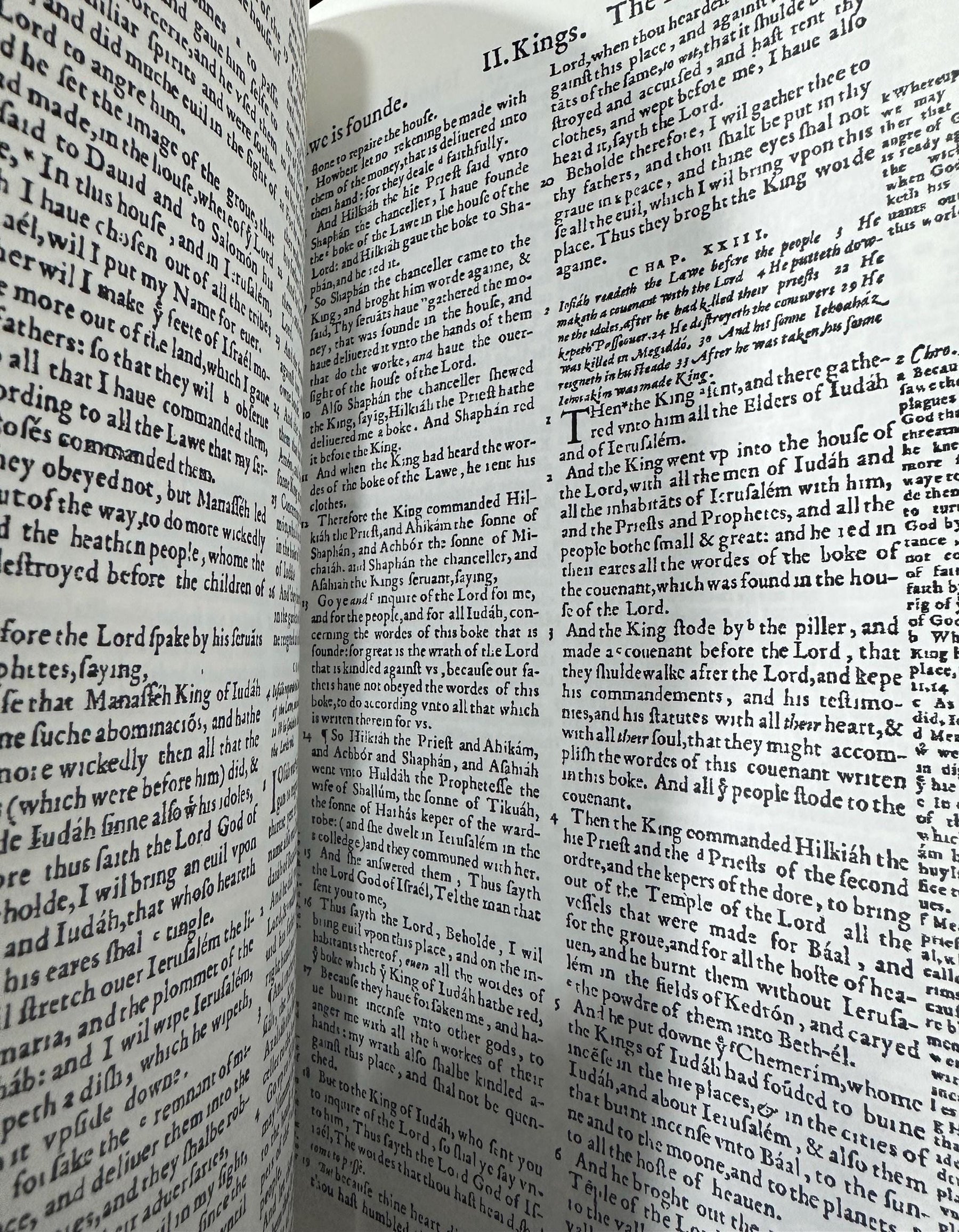 The Geneva Bible 1560 [Leather Bound]