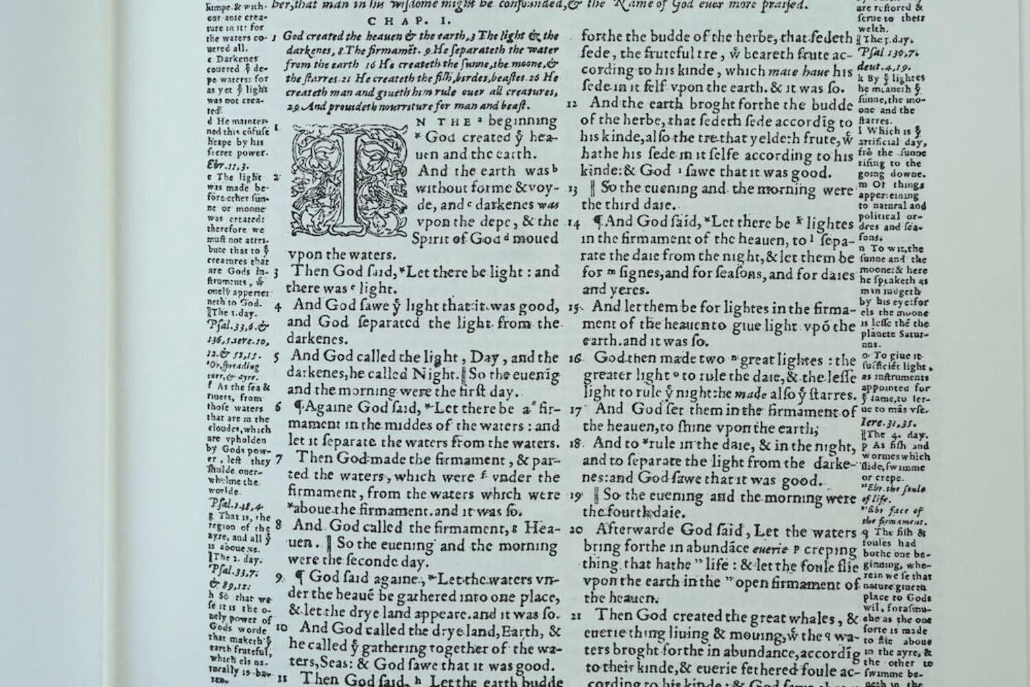 The Geneva Bible 1560 [Leather Bound]