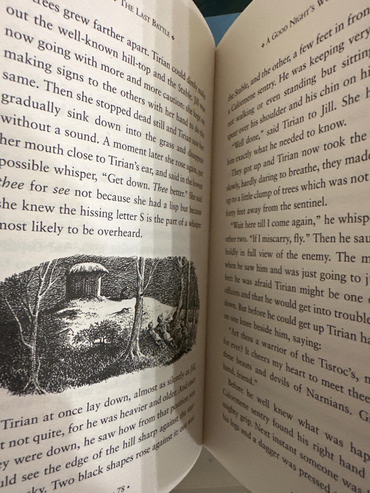 Chronicles of Narnia 7 Book C.S LEWIS Bookset Leather bound