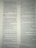 The Geneva Bible 1599 [Leather Bound]