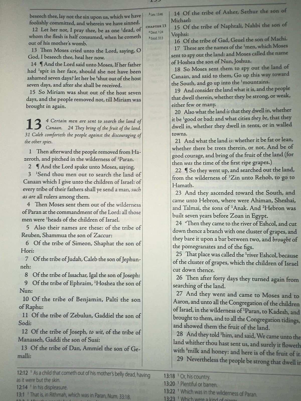 The Geneva Bible 1599 [Leather Bound]