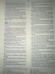The Geneva Bible 1599 [Leather Bound]