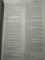 The Geneva Bible 1599 [Leather Bound]