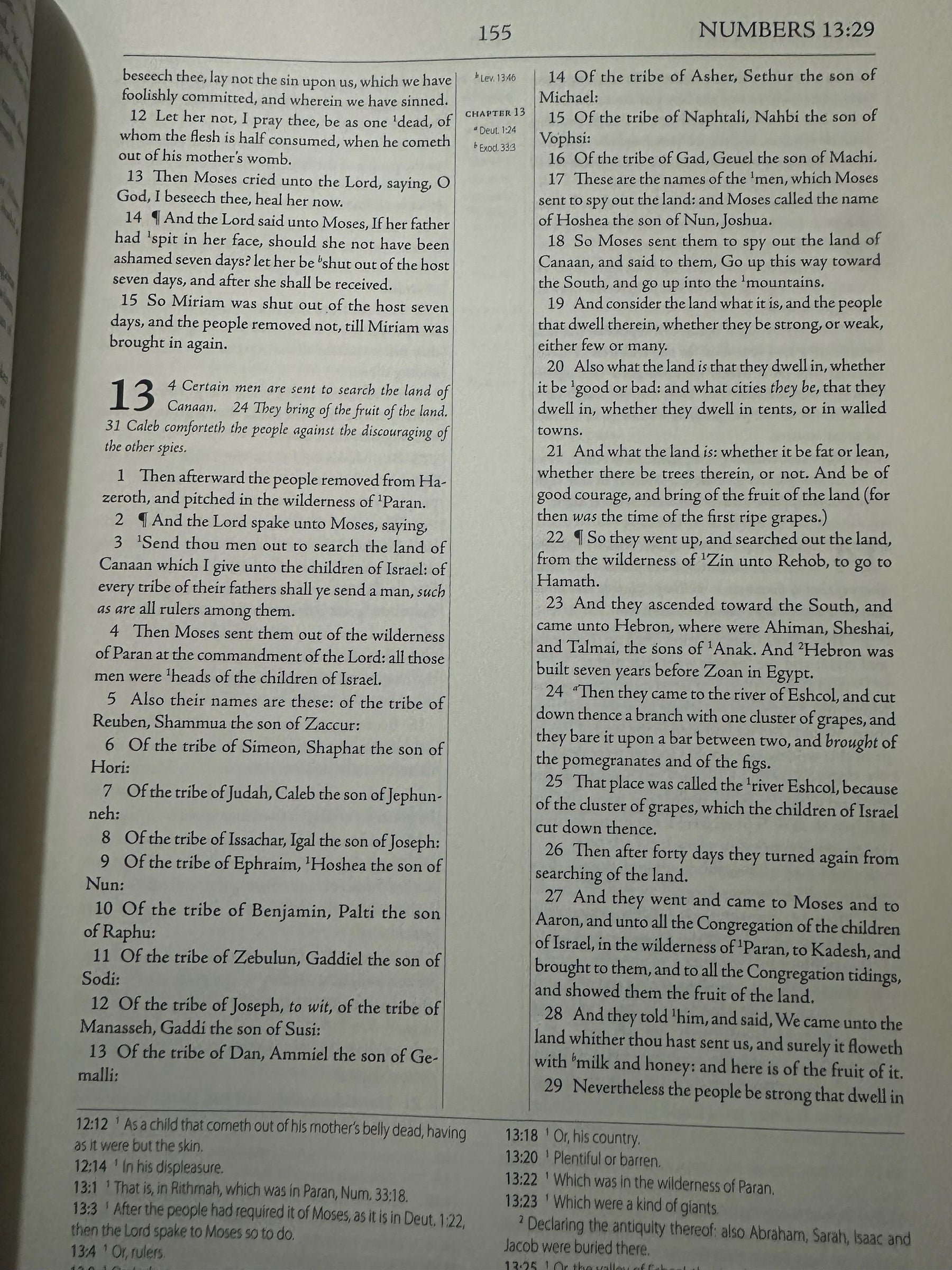 The Geneva Bible 1599 [Leather Bound]