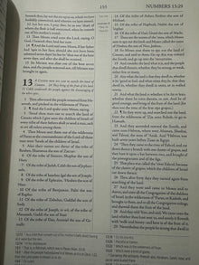 The Geneva Bible 1599 [Leather Bound]