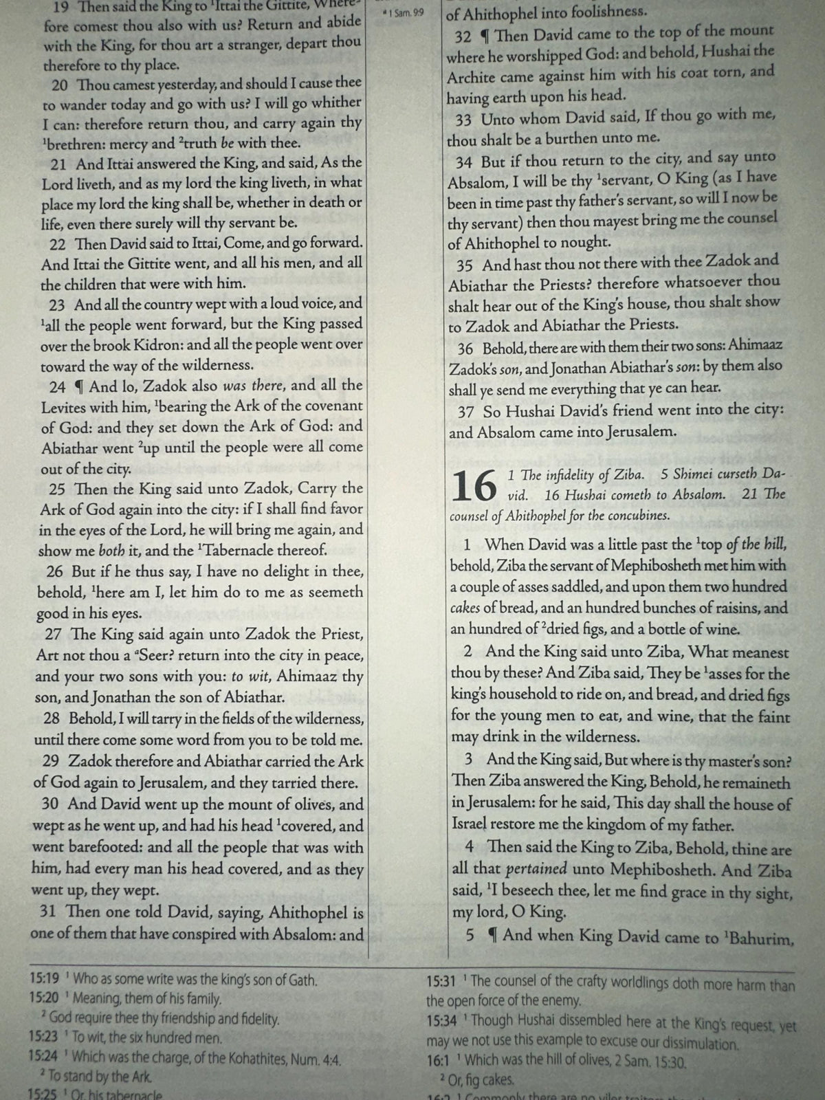 The Geneva Bible 1599 [Leather Bound]