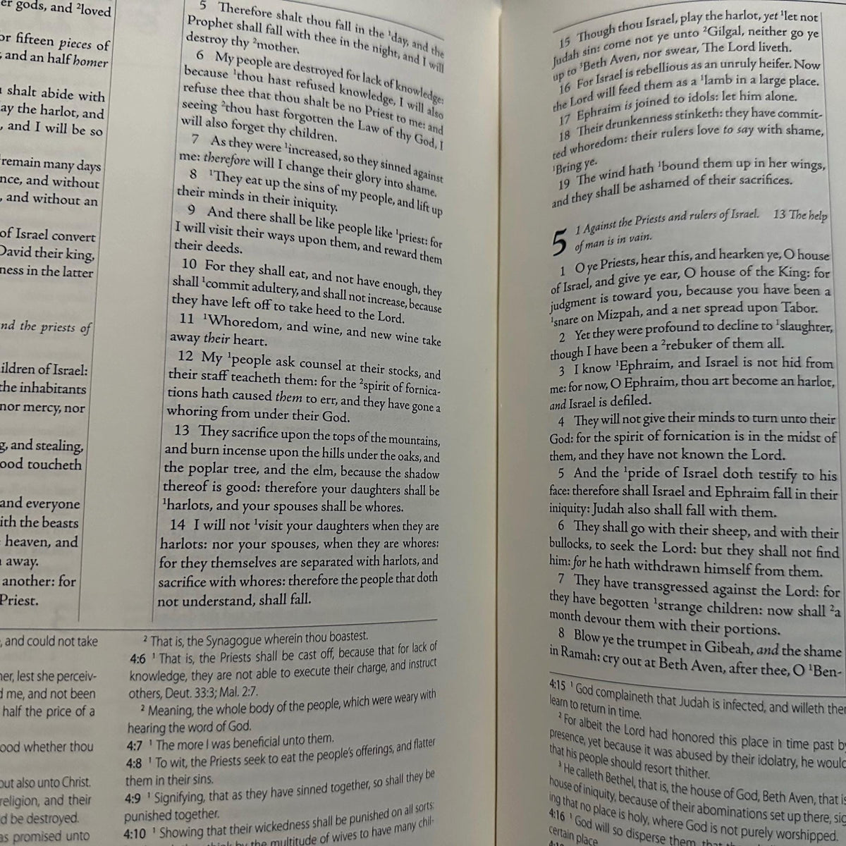 The Geneva Bible 1599 [Leather Bound]
