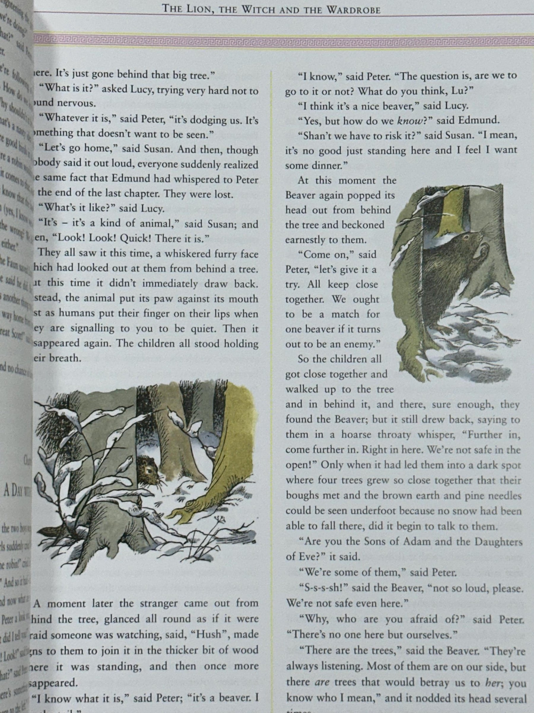 Chronicles of Narnia 7 in 1 Full Color Illustrated Book C.S LEWIS Leather-bound
